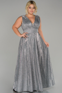 Robe Grande Taille Longue Argent ABU1463