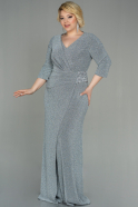 Robe Grande Taille Longue Argent ABU2922