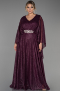 Robe Grande Taille Longue Prune ABU3278