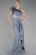 Robe de Soirée Longue Gris ABU4059