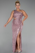 Robe De Soirée Grande Taille Longue Poudre ABU4108