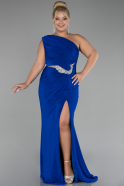 Robe De Fiançailles Grande Taille Longue Bleu Saxe ABU4148