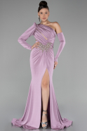 Robe De Soirée Longue Poudre ABU3851