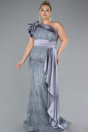 Robe De Fiançailles Grande Taille Longue Gris ABU4060