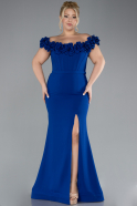 Robe De Fiançailles Grande Taille Longue Bleu Saxe ABU4388