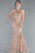 Robe De Soirée Longue Vison ABU4697