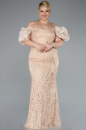 Robe De Fiançailles Grande Taille Longue Perlé Or ABU4788