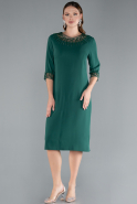 Robe Grande Taille Midi Vert ABK1622