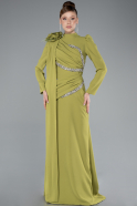 Tenue de Soirée Voilée Longue Pistache vert ABU4934