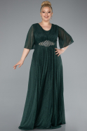 Robe Grande Taille Longue Émeraude ABU4887