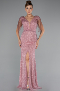 Robe de Soirée Longue Poudre ABU5132