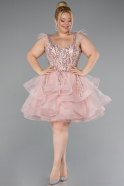 Robe De Fiançailles Grande Taille Courte Poudre ABK2087