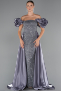 Robe De Soirée Perlé Longue Gris ABU5154