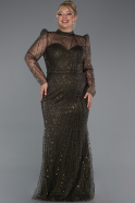 Robe De Fiançailles Grande Taille Longue Kaki ABU4527