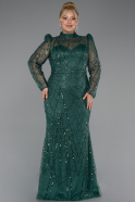 Robe De Fiançailles Grande Taille Longue Émeraude ABU4527