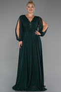 Robe Grande Taille Longue Mousseline Émeraude ABU5276
