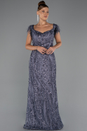 Robe De Soirée Grande Taille Longue Anthracite ABU5182