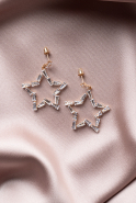 Boucle d'Oreille Or-Rose séchée UK928