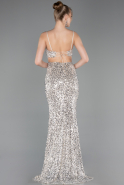 Robe de Soirée Longue Beige ABU5980