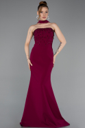 Robe de Soirée Longue Prune ABU6017