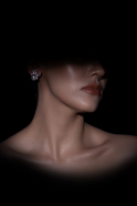 Boucle d'Oreille Argent BT1147