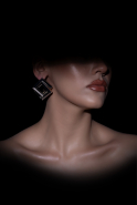Boucle d'Oreille Argent DF1016