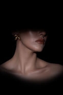 Boucle d'Oreille Or DF1017