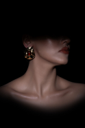Boucle d'Oreille Marron-Or DF1038