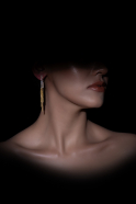 Boucle d'Oreille Or DF1053