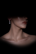 Boucle d'Oreille Argent LZ1106