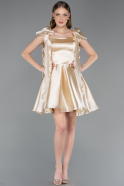 Robe de Cérémonie Courte Satin Beige ABK2607