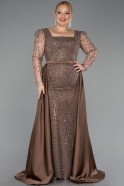 Robe De Fiançailles Grande Taille Perlé Longue Brun ABU4761