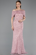 Robe de Soirée Longue Dantelle Poudre ABU6119