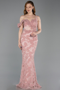 Robe de Soirée Longue Poudre ABU6059