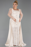 Robe De Fiançailles Grande Taille Perlé Longue Beige ABU4761