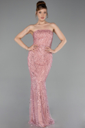 Robe de Soirée Longue Perlé Poudre ABU6220