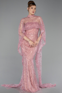 Robe de Soirée Longue Perlé Poudre ABU6220