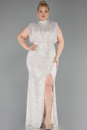 Robe De Soirée Grande Taille Squameuse Longue Vison ABU3115