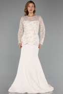 Robe De Soirée Grande Taille Longue Beige ABU6413
