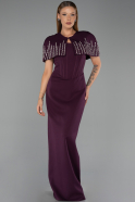 Robe de Soirée Longue Prune ABU5889