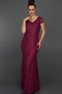 Robe De Soirée Longue Prune AR36872