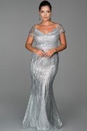 Robe Grande Taille Longue Argent ABU096