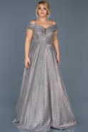 Robe Grande Taille Longue Argent ABU590