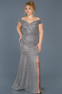 Robe Grande Taille Longue Argent ABU614
