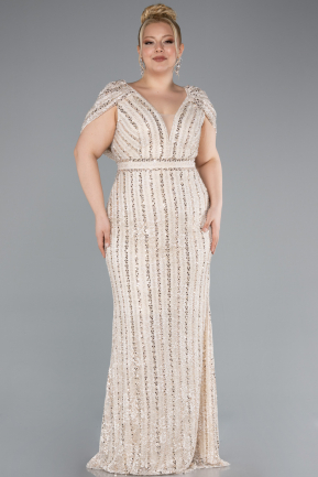 Robe De Fiançailles Grande Taille Longue Dantelle Beige ABU4948