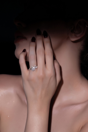 Bague Argent DF1095