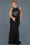 Robe Grande Taille Longue Noir-Argent ABU743