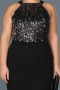 Robe Grande Taille Longue Noir-Argent ABU743
