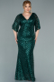 Robe de Soirée Grande Taille Longue Émeraude ABU2309