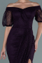 Robe De Soirée Dantelle Longue Violet ABU2427